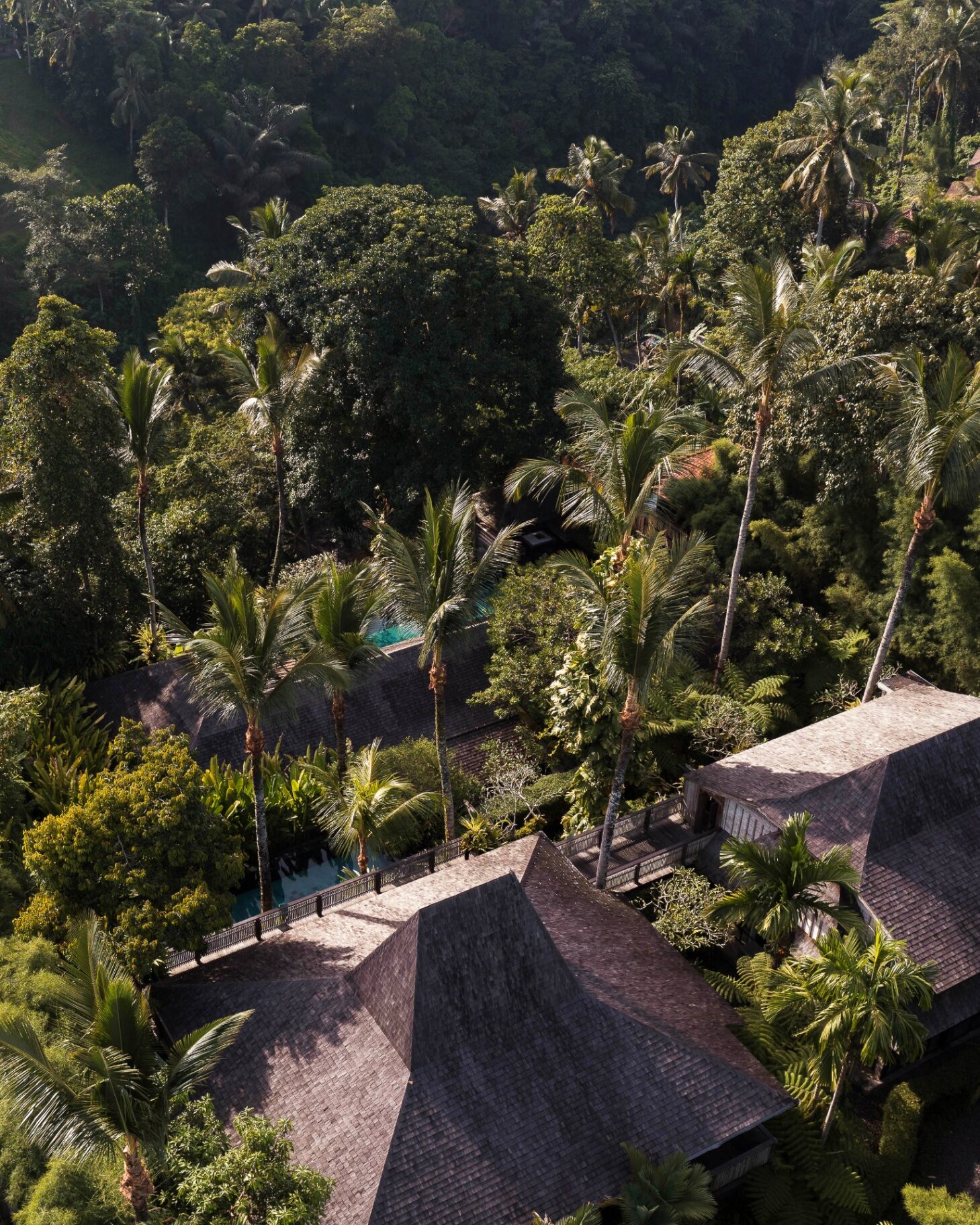 Estate gardens and pool from above
