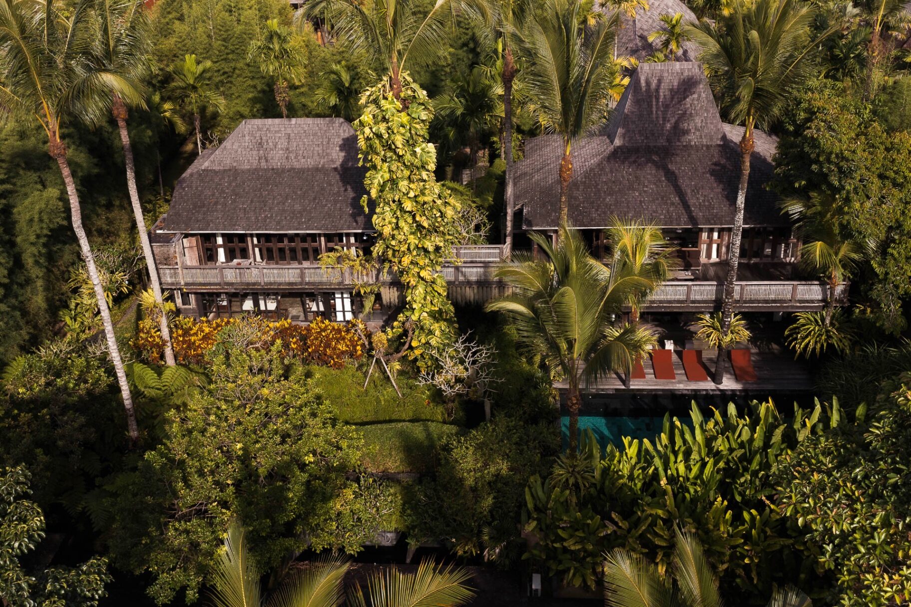 Thatched rooftops from above