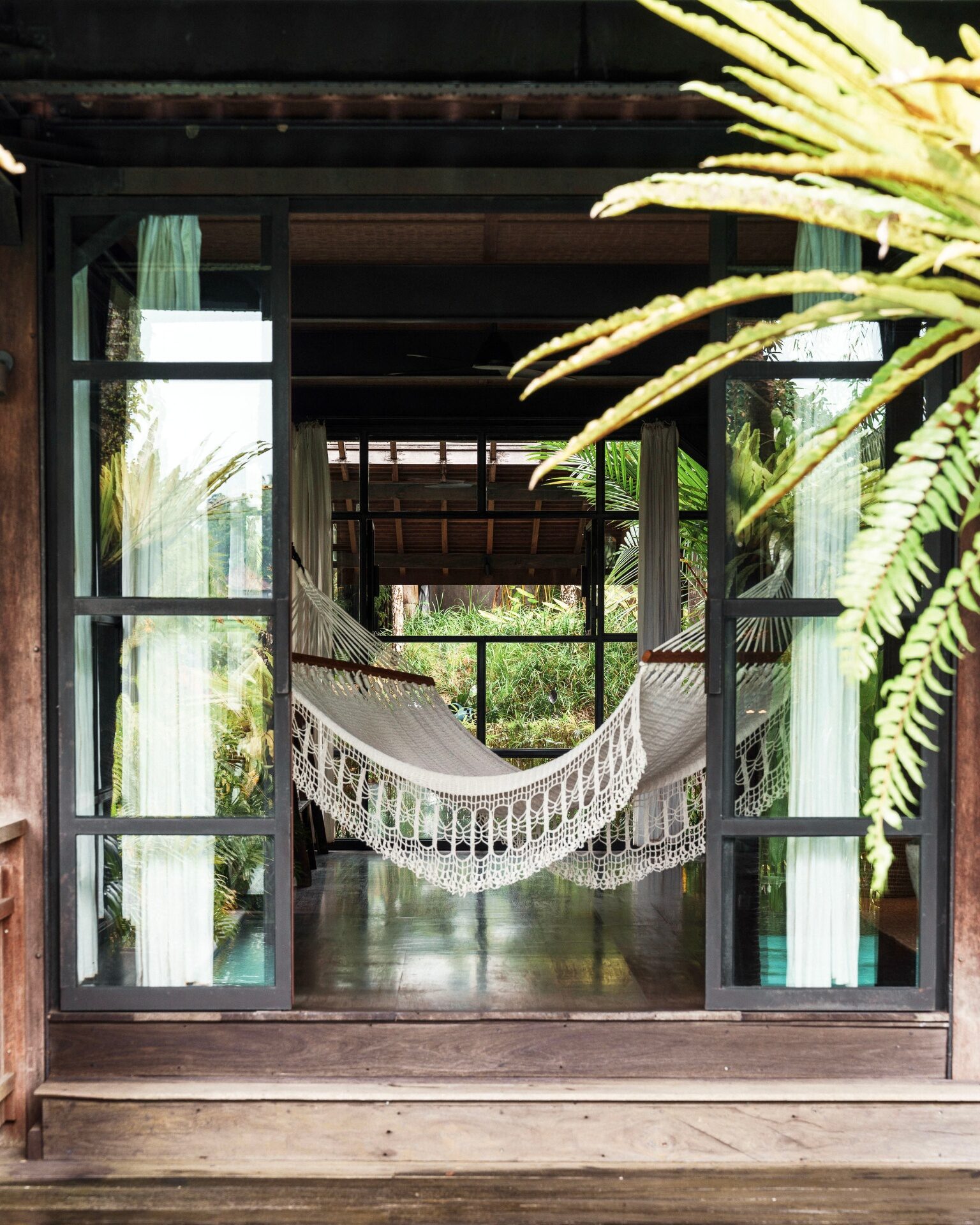 Pool with a single palm beyond