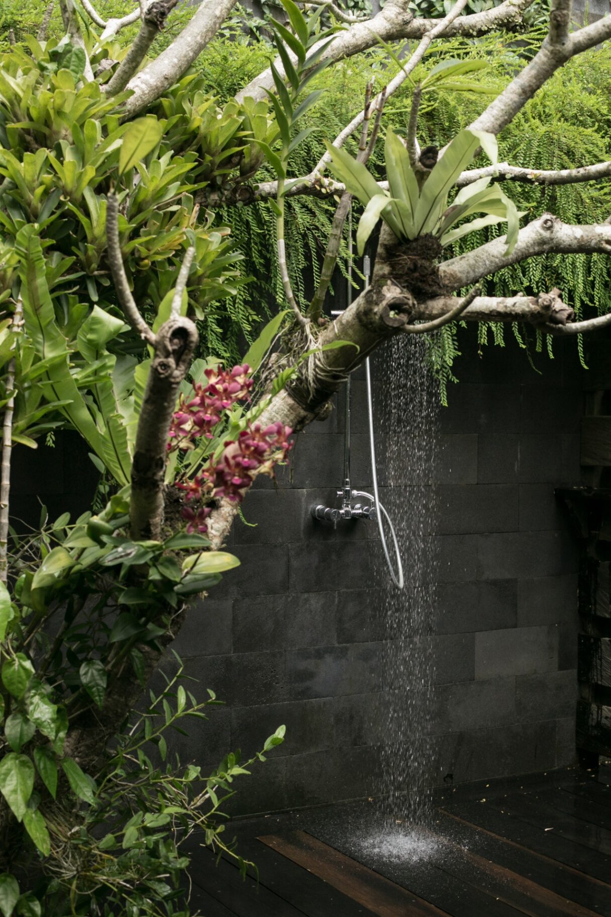 Open-air stone shower among orchids